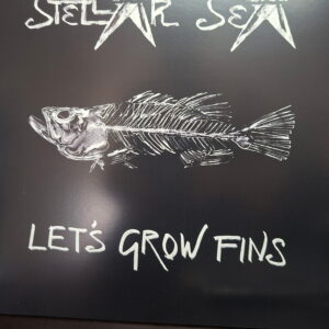 Stellar Sea Vinyl "Let's Grow Fins"
